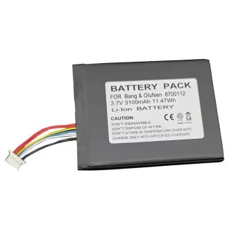 Garsiakalbio baterija Bang & Olufsen BeoSound Moment,8700112